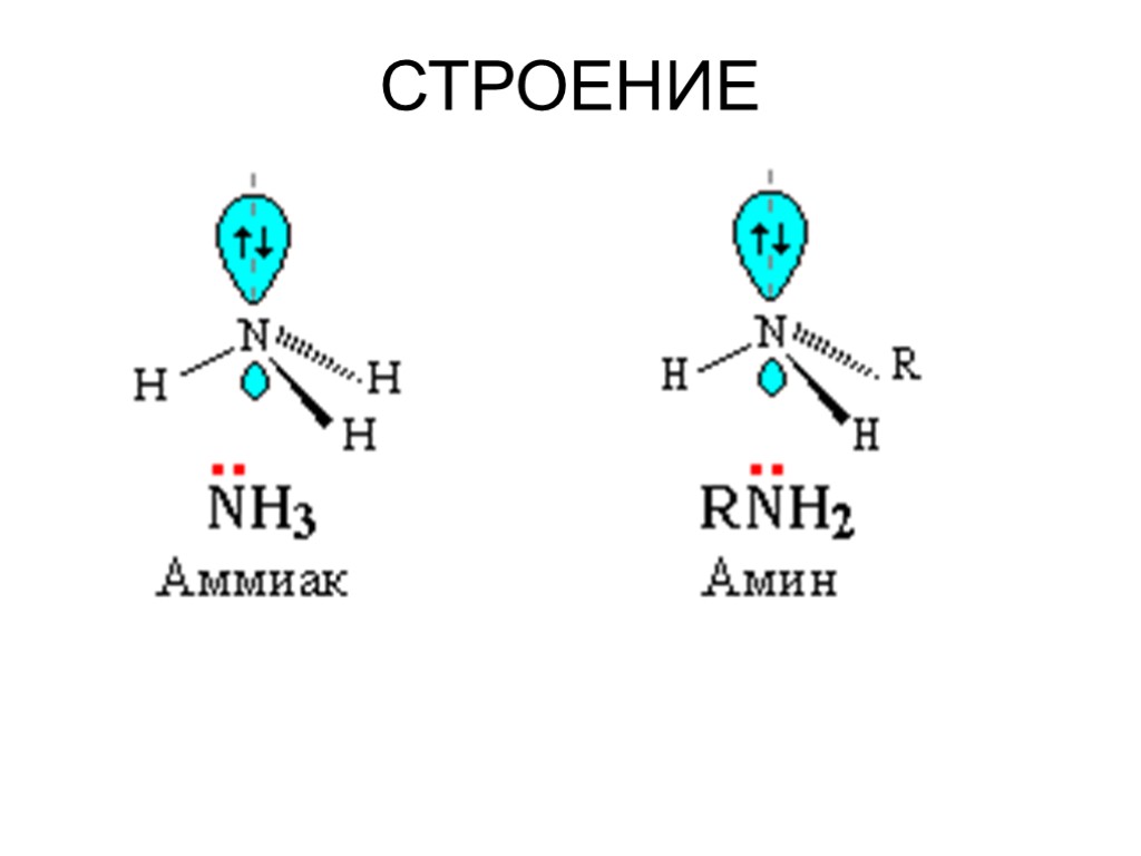 СТРОЕНИЕ